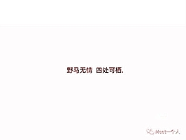 中融信托投资的公司