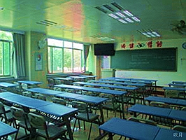 职工养老保险一年交多少钱