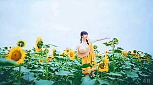 东莞信托有限公司 招聘