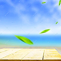 中证天通会计师事务所