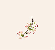 五矿信托-上海荣腾