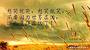 上海现货金价今日价格